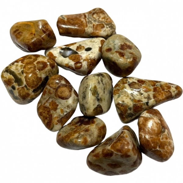 Garnet in Limestone - Tumblestone